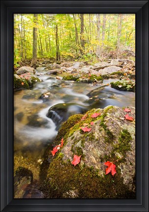 Framed Autumn stream, Grafton, New Hampshire Print