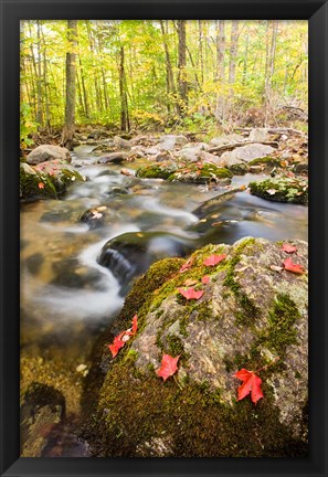 Framed Autumn stream, Grafton, New Hampshire Print