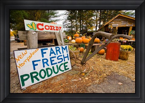 Framed Farm stand in Holderness, New Hampshire Print