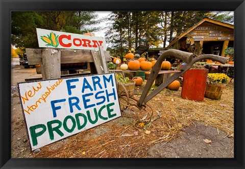 Framed Farm stand in Holderness, New Hampshire Print
