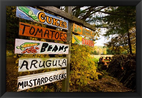 Framed farm stand, Holderness, New Hampshire Print