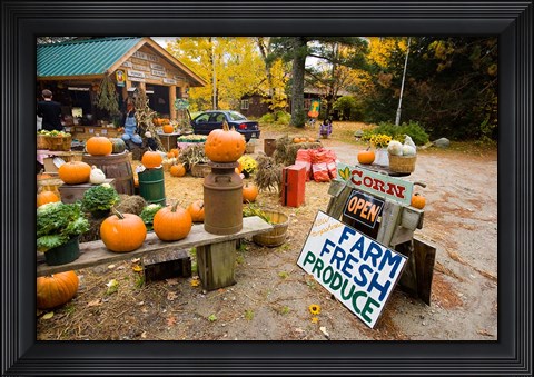 Framed Farm stand, Holderness, New Hampshire Print