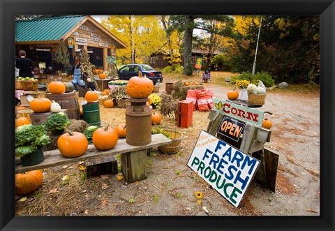 Framed Farm stand, Holderness, New Hampshire Print