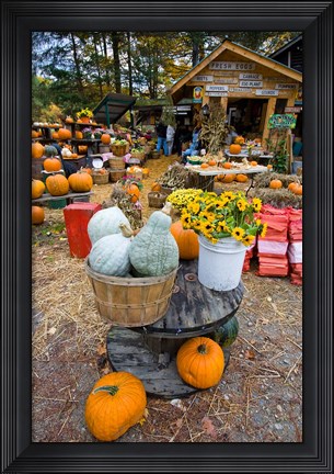 Framed farm stand in Holderness, New Hampshire Print