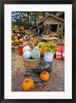 Framed farm stand in Holderness, New Hampshire Print