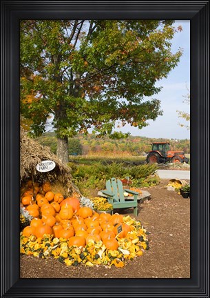 Framed Gourds at the Moulton Farmstand, Meredith, New Hampshire Print