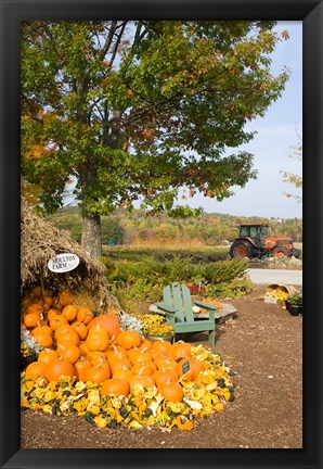 Framed Gourds at the Moulton Farmstand, Meredith, New Hampshire Print