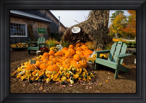 Framed Gourds at the Moulton Farm farmstand in Meredith, New Hampshire Print