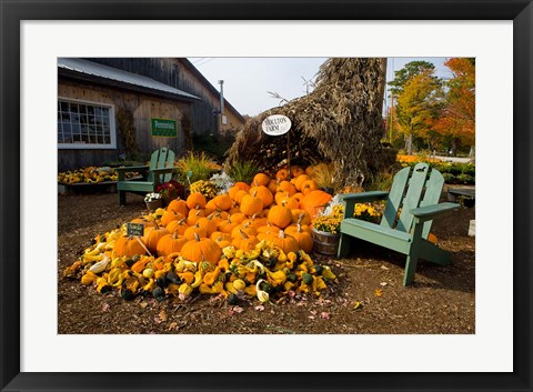 Framed Gourds at the Moulton Farm farmstand in Meredith, New Hampshire Print