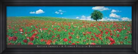 Framed Flower Field in Brittany Print