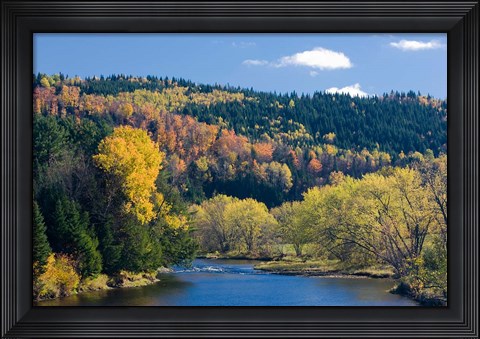 Framed Fall along the Connecticut River in Colebrook, New Hampshire Print