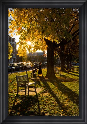 Framed Late afternoon on the Dartmouth College Green,  New Hampshire Print