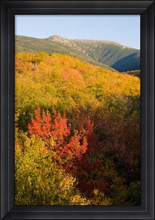 Framed Mount Lafayette in fall, White Mountain National Forest, New Hampshire Print