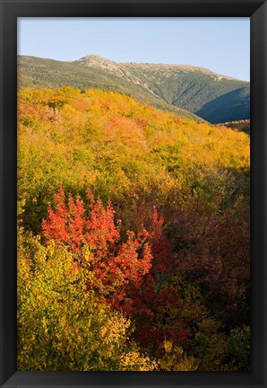 Framed Mount Lafayette in fall, White Mountain National Forest, New Hampshire Print