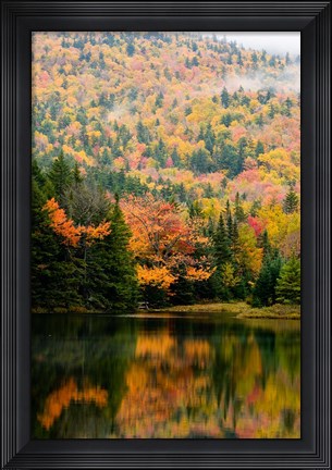 Framed Ammonoosuc Lake in fall, White Mountain National Forest, New Hampshire Print