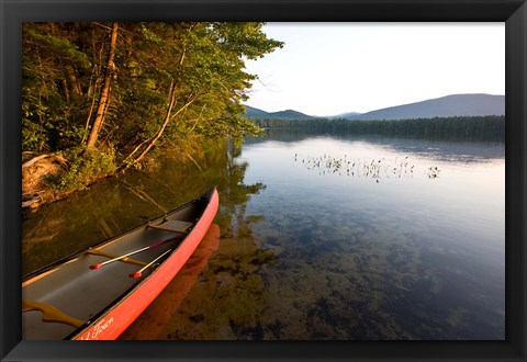 Framed White Lake State Park, New Hampshire Print