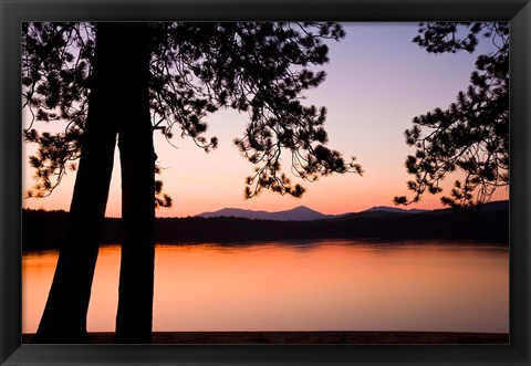 Framed White Lake State Park, New Hampshire Print