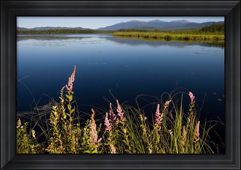 Framed Big Cherry Pond, New Hampshire Print