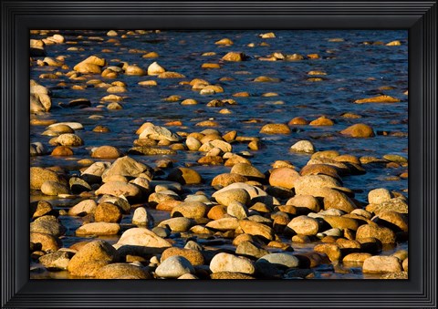 Framed Saco River, White Mountains, New Hampshire Print