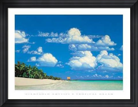 Framed Tropical Dream Print
