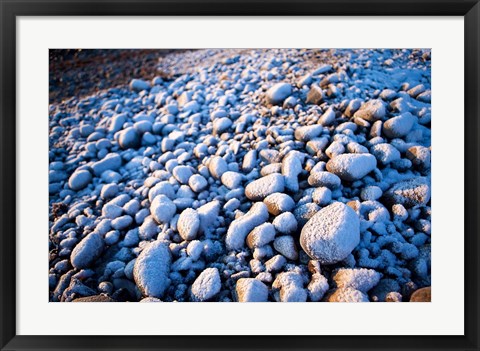 Framed Winter cobblestones, Odiorne, New Hampshire Print