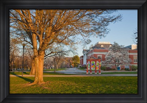 Framed Education, University of New Hampshire Print