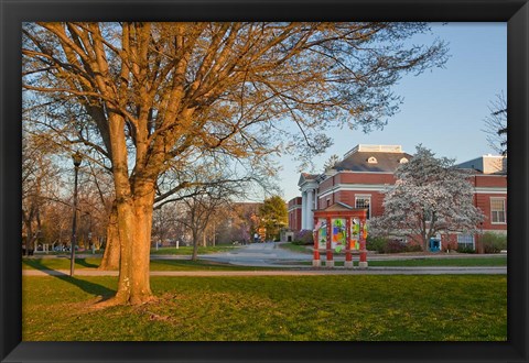 Framed Education, University of New Hampshire Print