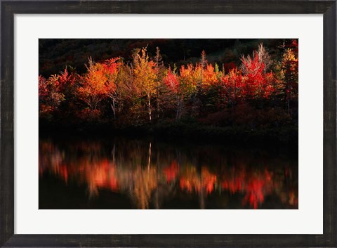Framed Fall Foliage with Reflections, New Hampshire Print
