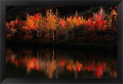 Framed Fall Foliage with Reflections, New Hampshire Print