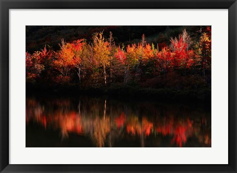 Framed Fall Foliage with Reflections, New Hampshire Print