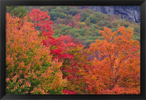 Framed Bemis Falls Trail, Crawford Notch State Park, New Hampshire Print