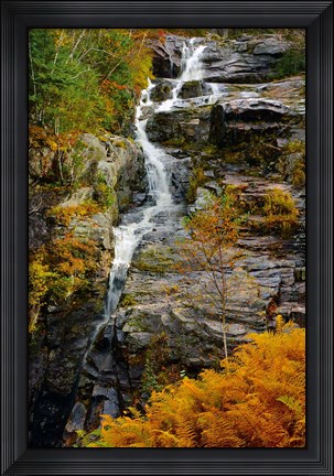Framed Autumn at Silver Cascade, Crawford Notch SP, New Hampshire Print