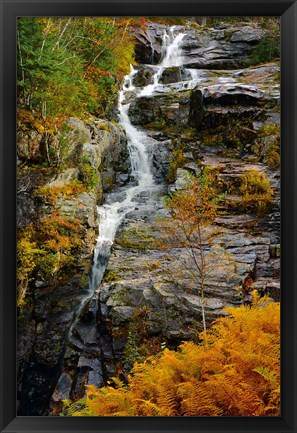 Framed Autumn at Silver Cascade, Crawford Notch SP, New Hampshire Print