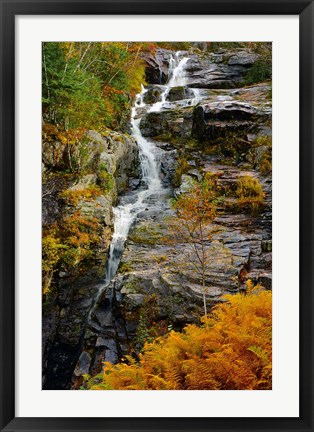 Framed Autumn at Silver Cascade, Crawford Notch SP, New Hampshire Print