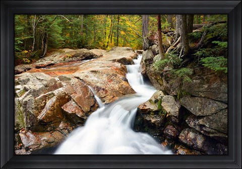 Framed Autumn on Pemigewasset River, Franconia Notch SP, New Hampshire Print