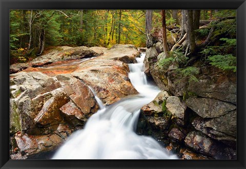 Framed Autumn on Pemigewasset River, Franconia Notch SP, New Hampshire Print