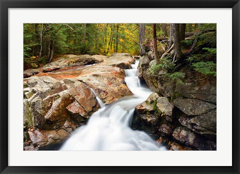 Framed Autumn on Pemigewasset River, Franconia Notch SP, New Hampshire Print