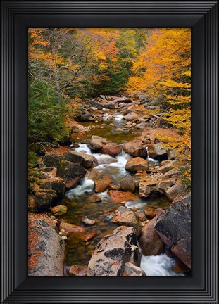 Framed Liberty Gorge, Franconia Notch State Park, New Hampshire Print
