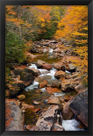 Framed Liberty Gorge, Franconia Notch State Park, New Hampshire Print