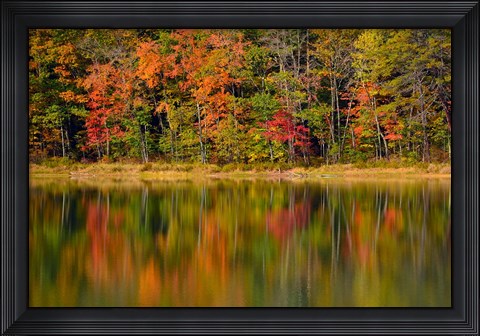 Framed Reflected autumn colors at Echo Lake State Park, New Hampshire Print