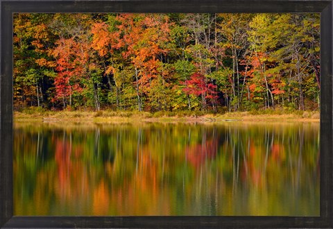 Framed Reflected autumn colors at Echo Lake State Park, New Hampshire Print