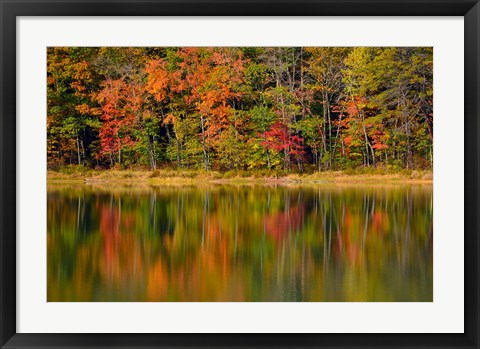 Framed Reflected autumn colors at Echo Lake State Park, New Hampshire Print