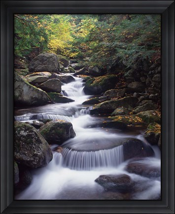 Framed Gordon Water Falls, Appalachia, White Mountains, New Hampshire Print