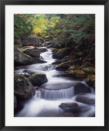 Framed Gordon Water Falls, Appalachia, White Mountains, New Hampshire Print