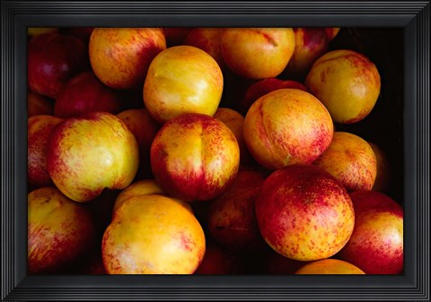 Framed Plums at an Outdoor Market, Nice, France Print