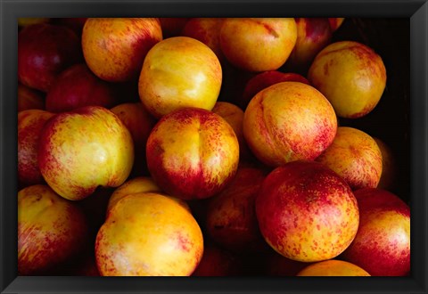 Framed Plums at an Outdoor Market, Nice, France Print