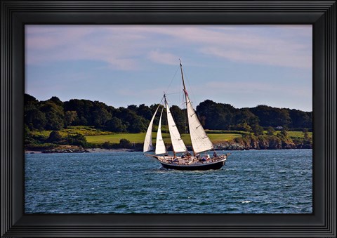 Framed Sailing in Newport, Rhode Island Print