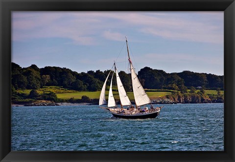 Framed Sailing in Newport, Rhode Island Print