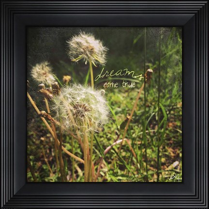 Framed Dreams Come True Print