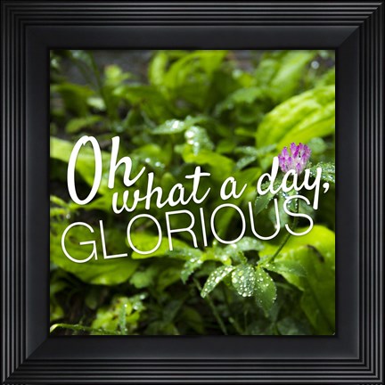 Framed Glorious Print
